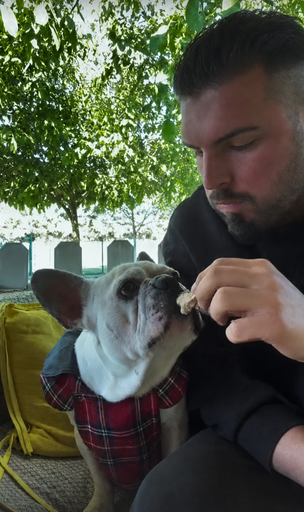 Milo isimli yavru köpek