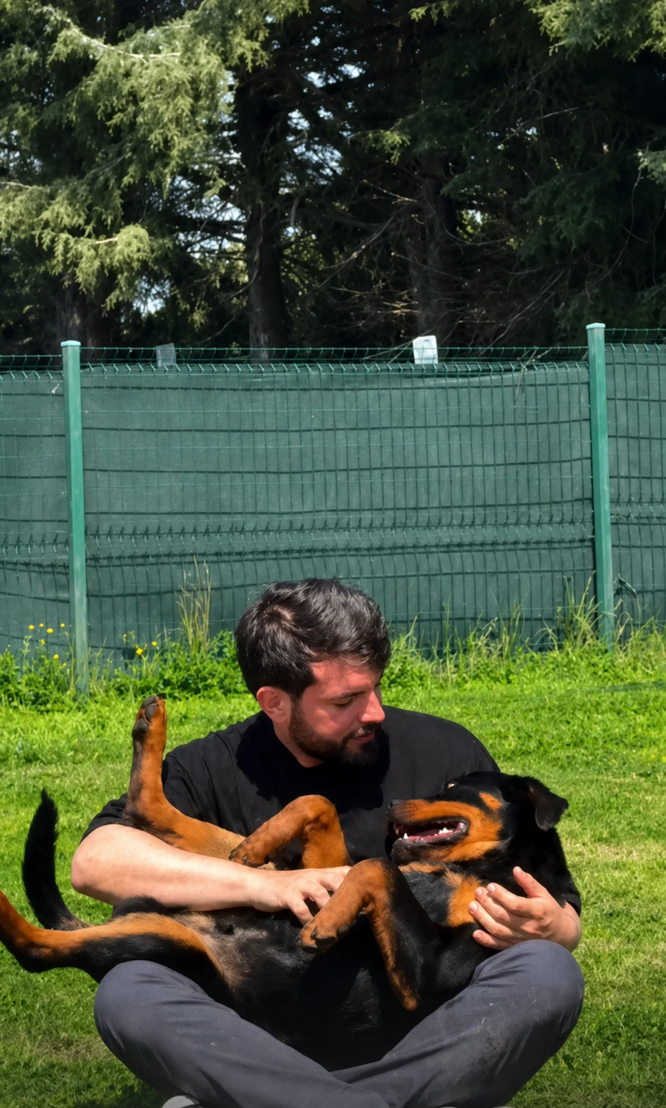 Milo isimli yavru köpek